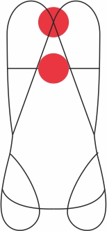 NEGO-CAMP-2663 –FOCUS LIGHT XT – Image 4