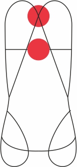 NEGO-CAMP-2664 –FOCUS VEST XT – Image 3